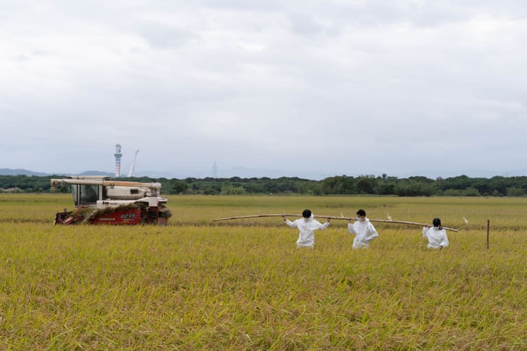 25.127389, 121.477158 2023