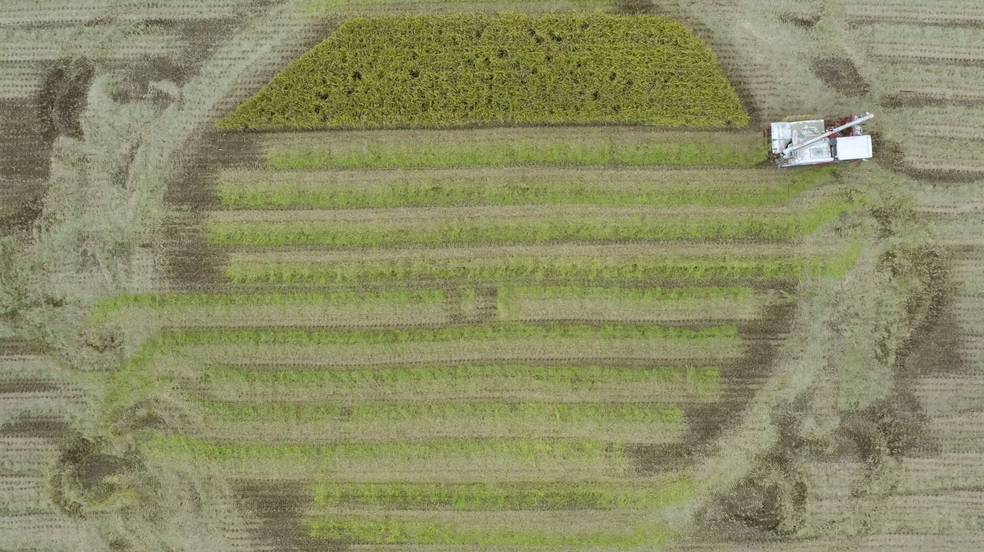 25.127389, 121.477158 2