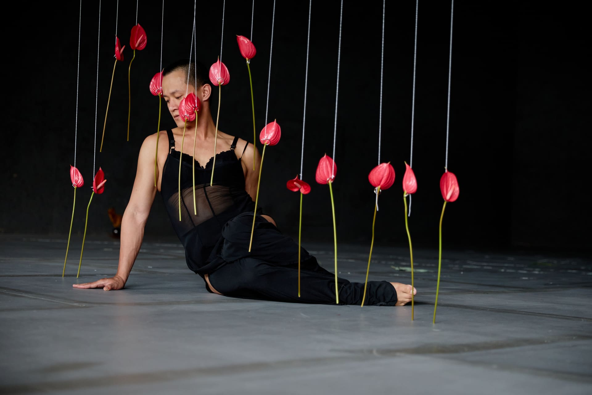 Dissection of Ikebana - A person in a dramatic pose on a dark stage, surrounded by numerous red anthurium flowers suspended from above