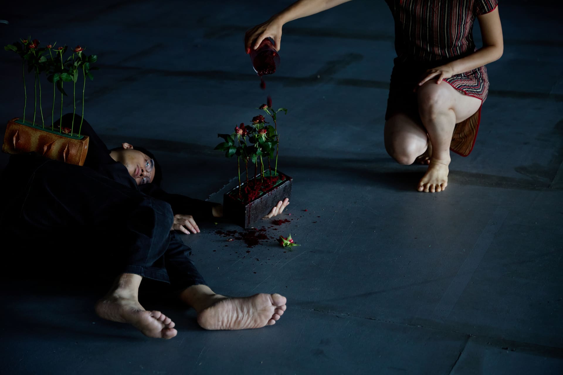 Dissection of Ikebana 3