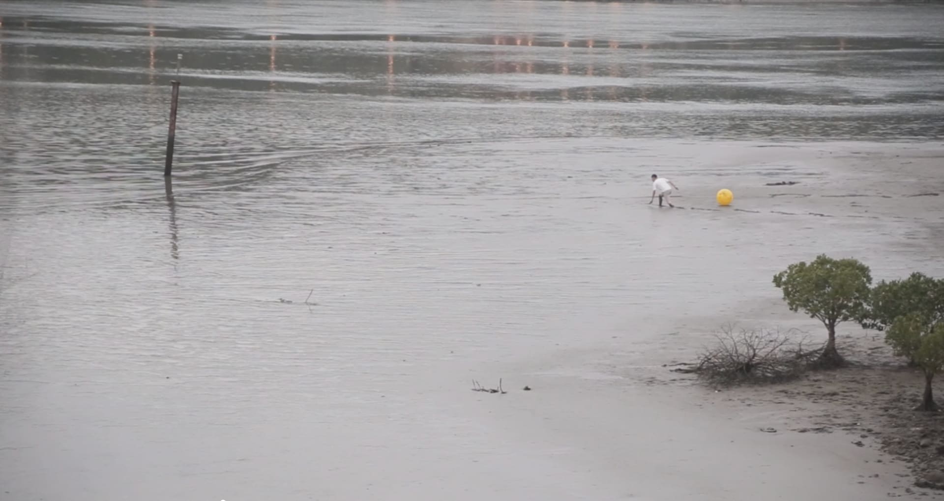 Guandu Tide Reversed 1