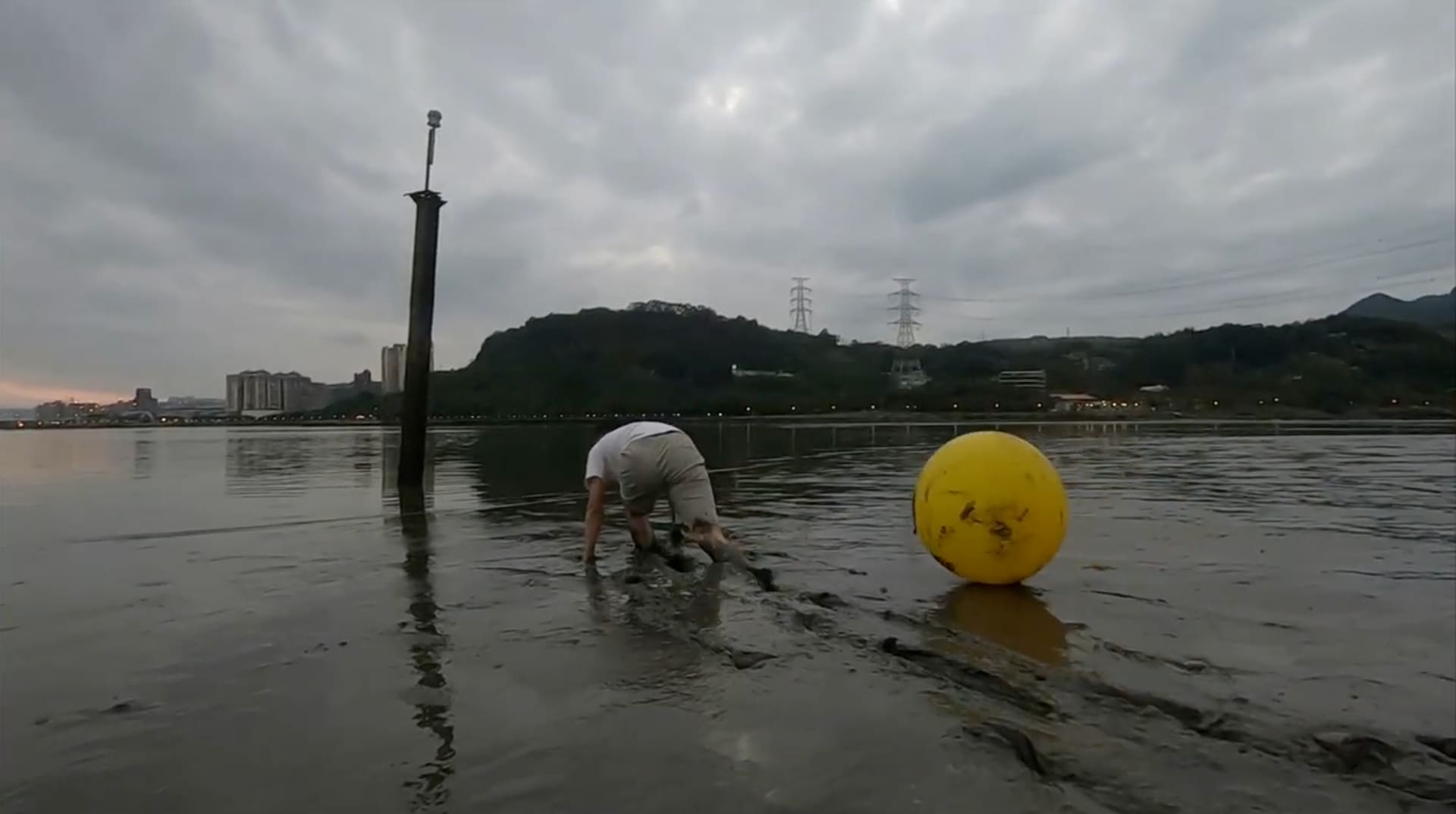 Guandu Tide Reversed 2