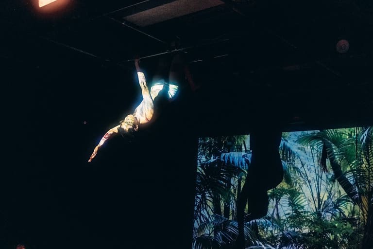 The Palmaris longus and Opponens Pollicis Muscle 2022