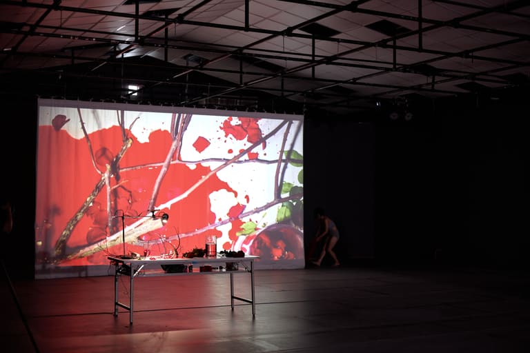 Thorns in Chains 2023